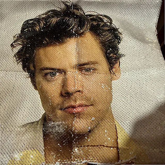 Harry Styles Sequin Pillow Cover Champagne Back Set Of 2!! For 16x16 Pillow Size