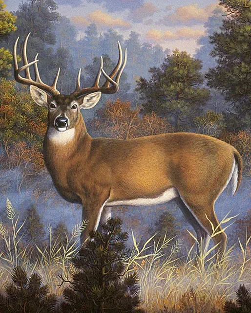 Morning Light ~ Buck, Deer ~ David Textiles Fabric Panel