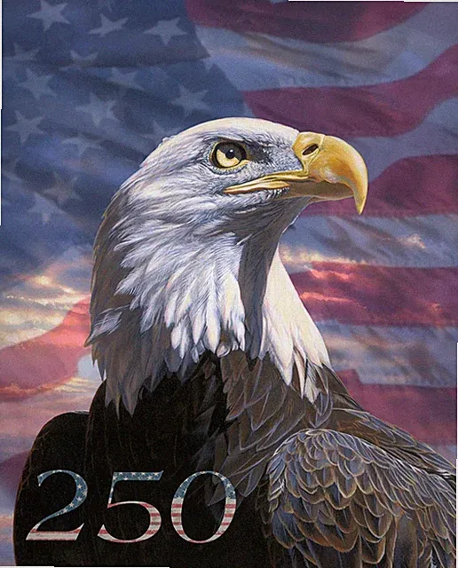 USA Eagle 250th Anniversary ~ 36"~ American, Quilt of Valor Fabric Panel